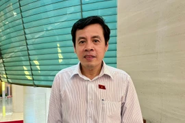 Đại biểu Trần Anh nhấn mạnh đợt sửa đổi Hiến pháp lần này mang tính bước ngoặt, tạo tiền đề quan trọng cho việc sắp xếp, tinh gọn bộ máy Nhà nước.