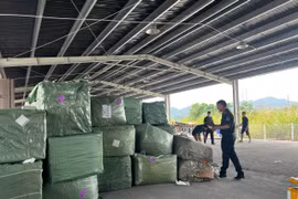 Lực lượng chức năng đã liên tiếp phát hiện và bắt giữ 4 lô hàng quá cảnh có dấu hiệu vi phạm nghiêm trọng của Công ty cổ phần vận tải và dịch vụ Sơn Hà. (Ảnh: HQ/Vietnam+)