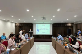 Việc sử dụng thuốc lá làm mất đi tổng cộng 21,8 triệu giờ lao động của người Việt Nam mỗi năm. (Ảnh: Vietnam+)