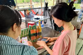 Hiện nay, chính sách thuế còn có sự khác biệt so với doanh nghiệp, do nhiều hộ kinh doanh nhỏ chưa đáp ứng được yêu cầu về sổ sách, kế toán, hóa đơn, chứng từ, dẫn đến phải nộp thuế theo phương pháp khoán. (Ảnh: Vietnam+)