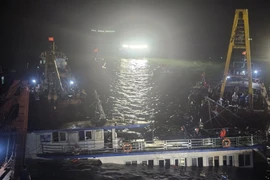 Công ty bảo hiểm ước tính ban đầu tổng số tiền chi trả cho các trường hợp này vào khoảng 1,2 tỷ đồng. (Ảnh: TTXVN)