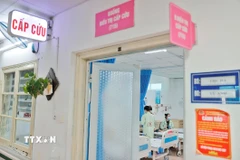 Hiện nay, đang là thời điểm giao mùa, nhiều bệnh nhi mắc các bệnh như tay chân miệng, sởi, sốt xuất huyết… (Ảnh: Minh Quyết/TTXVN)