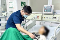 Bác sỹ Bệnh viện Bệnh Nhiệt đới Trung ương theo dõi sức khỏe cho một bệnh nhân mắc sốt rét. (Ảnh: PV/Vietnam+)