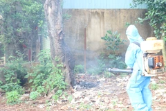 Phun hóa chất diệt muỗi tại khu dân cư. (Ảnh: TTXVN)
