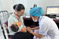 Trong tháng Một, nhóm thuốc và dịch vụ y tế nổi lên với mức tăng tới 9,47% so với tháng trước và kéo CPI chung tăng tới 0,51 điểm phần trăm.. (Ảnh: T.G/Vietnam+)
