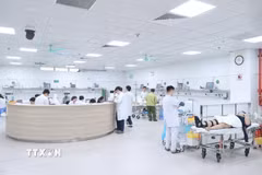 Tình hình khám, cấp cứu, nhập viện và tử vong nghi do tai nạn giao thông cơ bản ổn định, không có đột biến. (Ảnh: TTXVN)