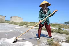 (Ảnh minh họa: Mai Hoa/TTXVN)