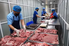 Việc phòng ngừa và phát hiện các rủi ro từ thực phẩm, góp phần bảo đảm sức khỏe con người. (Ảnh: TTXVN/Vietnam+)