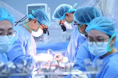 Các bác sỹ Bệnh viện Trung ương Quân đội 108 thực hiện một ca ghép tạng. (Ảnh: PV/Vietnam+)