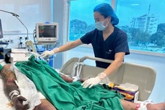 Một trường hợp mắc liên cầu lợn. (Ảnh: PV/Vietnam+)