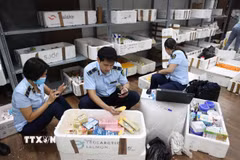 Lực lượng chức năng thu giữ hàng nghìn sản phẩm sữa, thực phẩm chức năng, mỹ phẩm nhập lậu. (Ảnh: TTXVN)