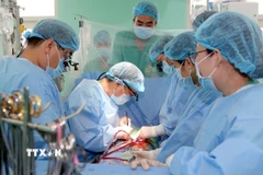 Êkíp bệnh viện Trung ương Huế hiện ghép tim cho bệnh nhân. (Ảnh: TTXVN phát)