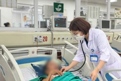 Bác sỹ thăm khám, theo dõi tình hình sức khỏe cho bệnh nhân. (Ảnh: PV/Vietnam+)