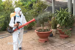 Lực lượng y tế phun độc, khử trùng, dọn dẹp loăng quăng. (Ảnh: TTXVN phát)
