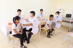 Học sinh tại tỉnh Bắc Ninh được tiêm vaccine uốn ván-bạch hầu. (Ảnh: Thái Hùng/TTXVN)