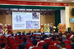 Phó giáo sư Lê Mạnh Cường cho hay bệnh lý hậu môn trực tràng khá phổ biến và khá thường gặp tại Việt Nam. (Ảnh: PV/Vietnam+)