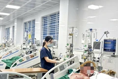 Bệnh nhân mắc thủy đậu trong tình trạng nặng đang điều trị tại Bệnh viện Bệnh Nhiệt đới Trung ương. (Ảnh: PV/Vietnam+)