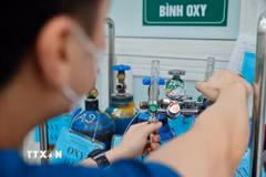 (Ảnh: TTXVN/Vietnam+)