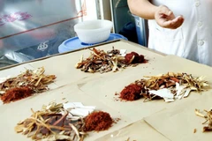 Ảnh minh họa. (Nguồn: TTXVN)