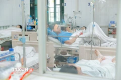 Ảnh minh họa. (Nguồn: TTXVN)