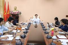 Các đại biểu tham dự cuộc họp. (Ảnh: PV/Vietnam+)