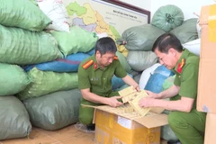 Lực lượng chức năng liên tiếp phát hiện những vụ kinh doanh hàng giả liên quan đến chăm sóc sức khỏe. (Ảnh: PV/Vietnam+)