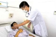Bác sỹ theo dõi tình trạng cho bệnh nhân. (Ảnh: PV/Vietnam+)