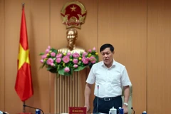 Thứ trưởng Bộ Y tế Đỗ Xuân Tuyên phát biểu tại cuộc họp. (Ảnh: PV/Vietnam+)