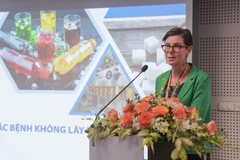 Tiến sỹ Angela Pratt - Trưởng Đại diện Tổ chức Y tế Thế giới (WHO) tại Việt Nam. (Ảnh: PV/Vietnam+)