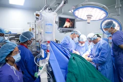 (Ảnh: PV/Vietnam+)