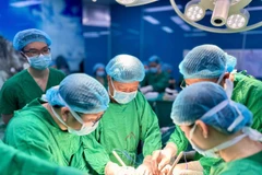 Các bác sỹ thực hiện ca ghép phổi cho một bệnh nhân. (Ảnh: PV/Vietnam+)