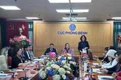 Tiến sỹ Lê Thái Hà - Phó Cục trưởng Cục Phòng bệnh (Bộ Y tế) phát biểu tại Hội thảo. (Ảnh: PV/Vietnam+)