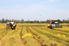 Các chính sách đột phá cùng sự khẩn trương trong triển khai mang lại cho người dân nhiều kỳ vọng về chất lượng cuộc sống mới. (Ảnh: TTXVN/Vietnam+)