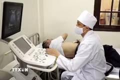 Ảnh minh họa. (Nguồn: TTXVN)
