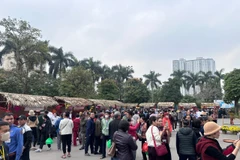 15 gian hàng đã được dựng lên với nhiều túi quà được gửi trao tới người bệnh. (Ảnh: T.G/Vietnam+)