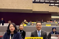 Đoàn Việt Nam tham dự COP11. (Ảnh: PV/Vietnam+)