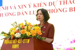 Thứ trưởng Bộ Y tế Nguyễn Thị Liên Hương phát biểu tại Hội thảo. (Ảnh: PV/Vietnam+)