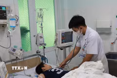 Trường hợp mắc sốt xuất huyết trong tình trạng nặng được bác sỹ Bệnh viện Bệnh Nhiệt đới tỉnh Khánh Hòa chăm sóc, điều trị tại. (Ảnh: Phan Sáu/TTXVN)