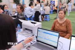 Mô hình dữ liệu cập nhật vào hồ sơ sức khỏe toàn dân để người dân theo dõi kết quả xét nghiệm, khám chữa bệnh của mình trên VNeID. (Ảnh: Minh Quyết/TTXVN)