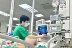 Bác sỹ theo dõi tình trạng cho bệnh nhân viêm não. (Ảnh: PV/Vietnam+)