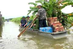 Chở hàng cứu trợ cho bà con vùng lũ. (Ảnh: Nguyễn Nam/TTXVN)