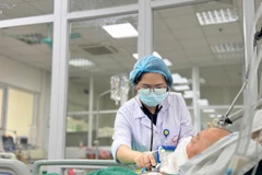 Các bác sỹ chăm sóc và điều trị cho bệnh nhân. (Ảnh: PV/Vietnam+)
