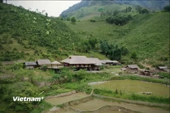 Nếp nhà sàn truyền thống giữa núi rừng. (Ảnh: Trịnh Huyền/Vietnam+)