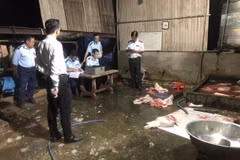 Cơ quan chức năng bắt quả tang cơ sở giết mổ lợn trái phép tại thành phố Biên Hòa, Đồng Nai. (Ảnh: TTXVN)