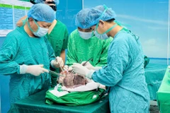 Các bác sỹ Bệnh viện Phổi Trung ương chuẩn bị thực hiện một ca ghép phổi. (Ảnh: PV/Vietnam+)