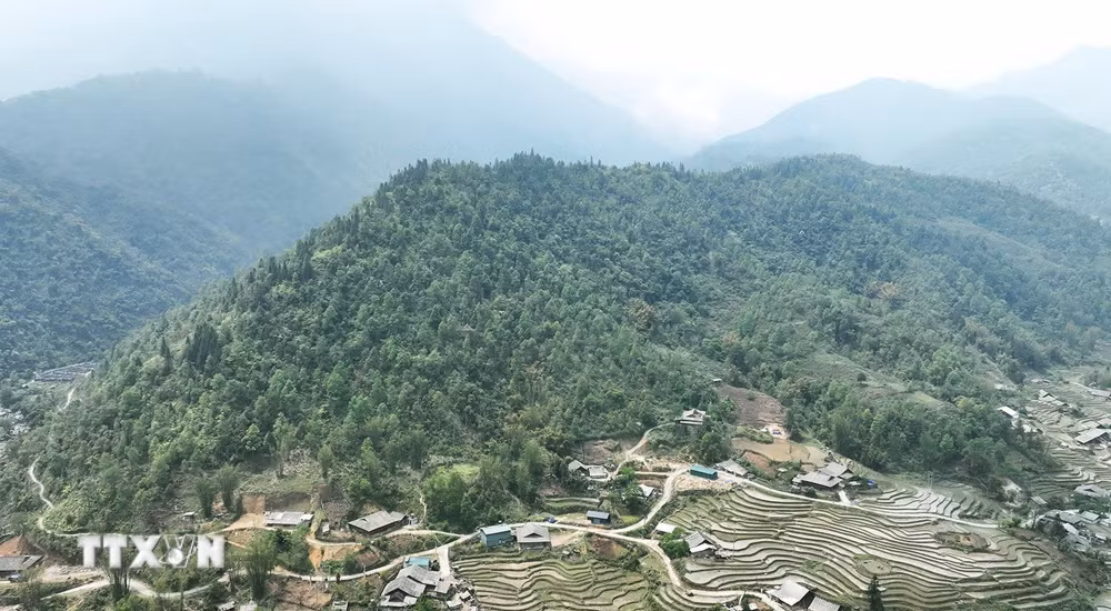 ttxvn-1808-rung-lao-cai-vuon-quoc-gia-hoang-lien.jpg