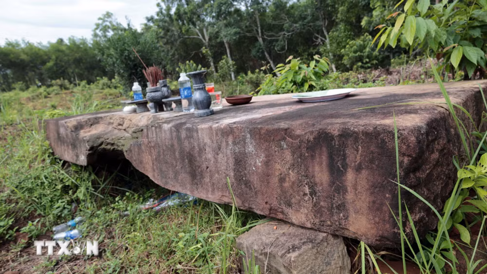 ttxvn-1609-phat-vien-dong-duong.jpg