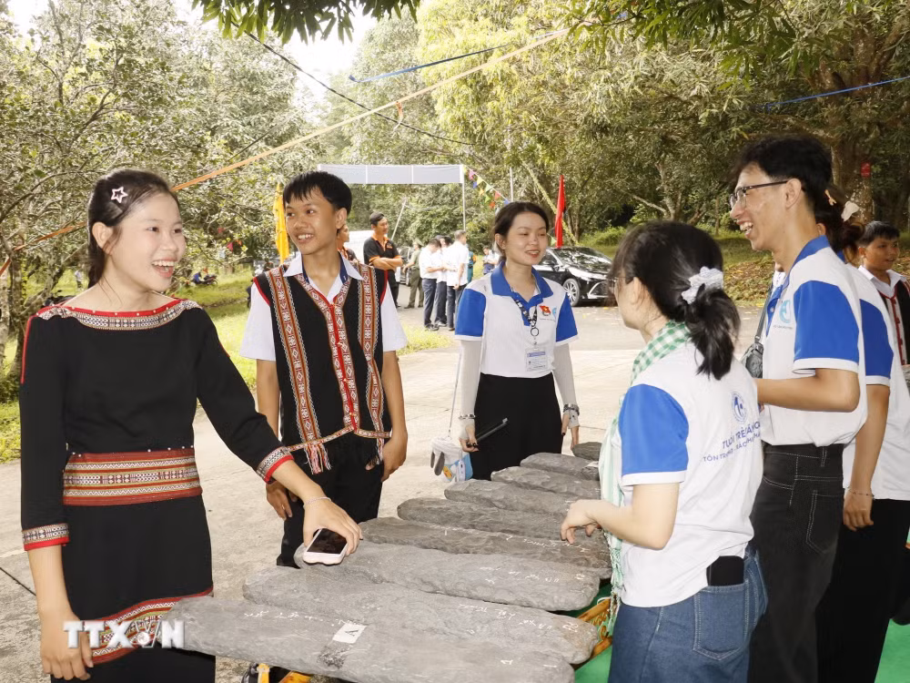 ttxvn_2010-dan-da-3318.jpg