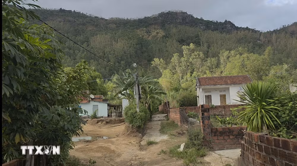 ttxvn-1209-sat-lo-nui-cam-gia-lai.jpg