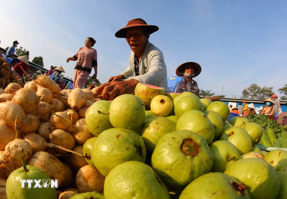ttxvn-2704-cho-chom-hom-phuong-vi-thanh-can-tho-14.jpg